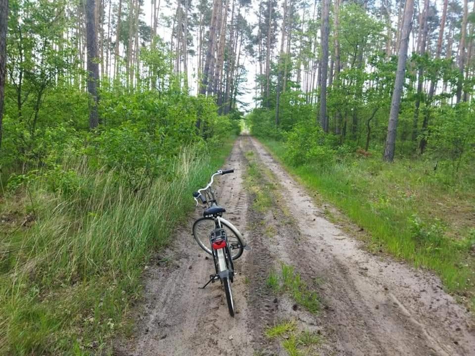 Nad Zalewem Gospodarstwo agroturystyczne *